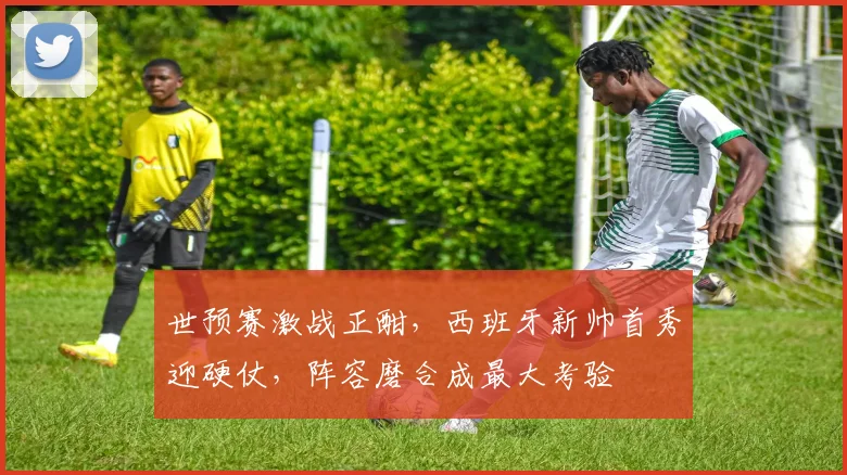 世预赛激战正酣，西班牙新帅首秀迎硬仗，阵容磨合成最大考验